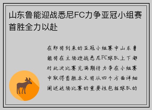 山东鲁能迎战悉尼FC力争亚冠小组赛首胜全力以赴